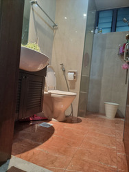 Sanctuary Green (D15), Condominium #540973271